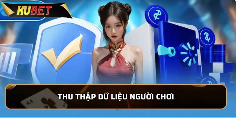 Chính Sách Bảo Mật Kubet - An Toàn Cho Người Chơi 1 Thu thập dữ liệu người chơi
